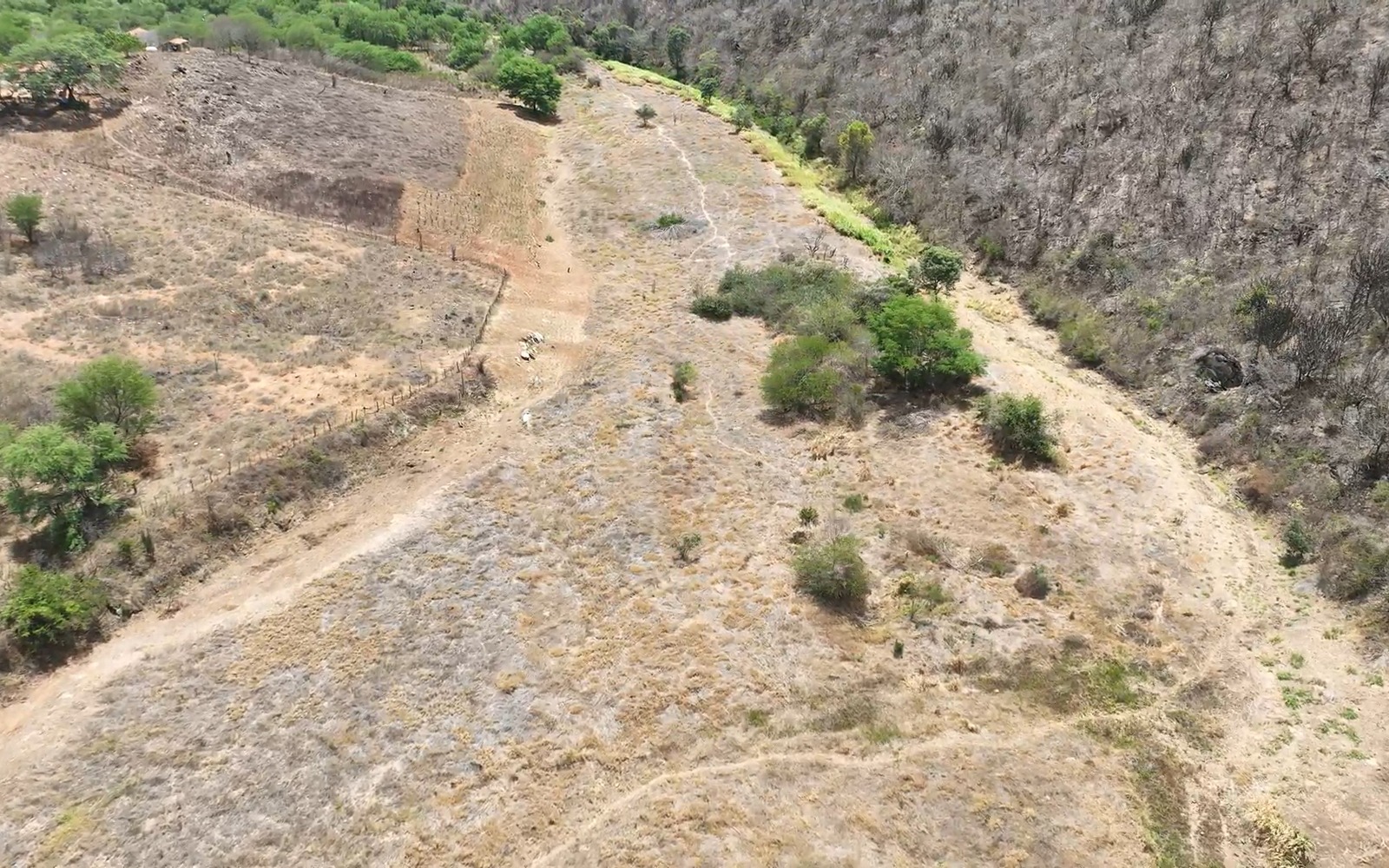 Vista aérea da Fazenda Mundo Novo em São Tomé