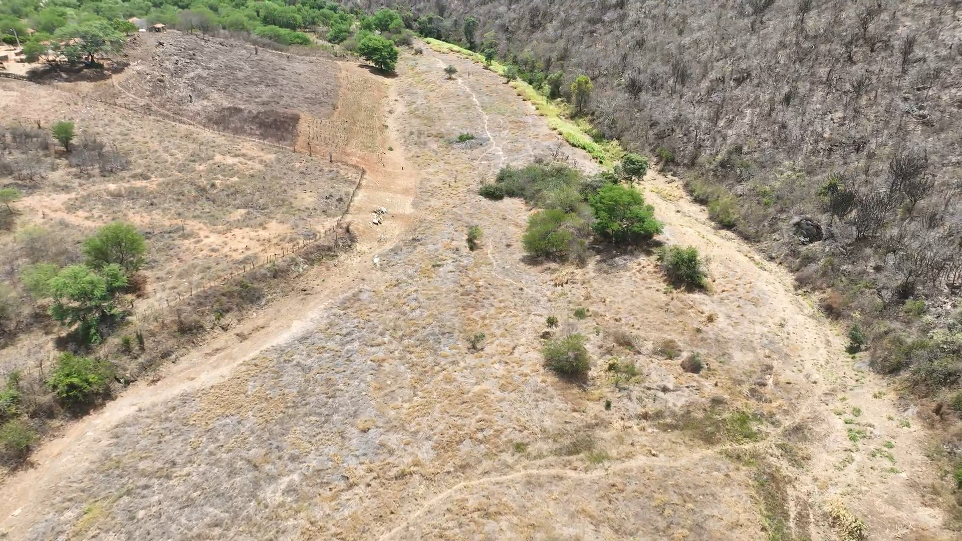 Vista aérea da Fazenda Mundo Novo, área trabalhada pelo Projeto Potengi em São Tomé