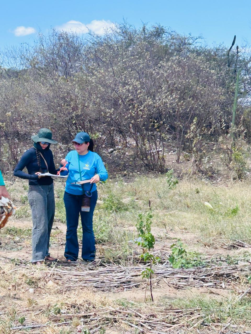 Equipe em atividade de monitoramento de campo do Projeto Potengi