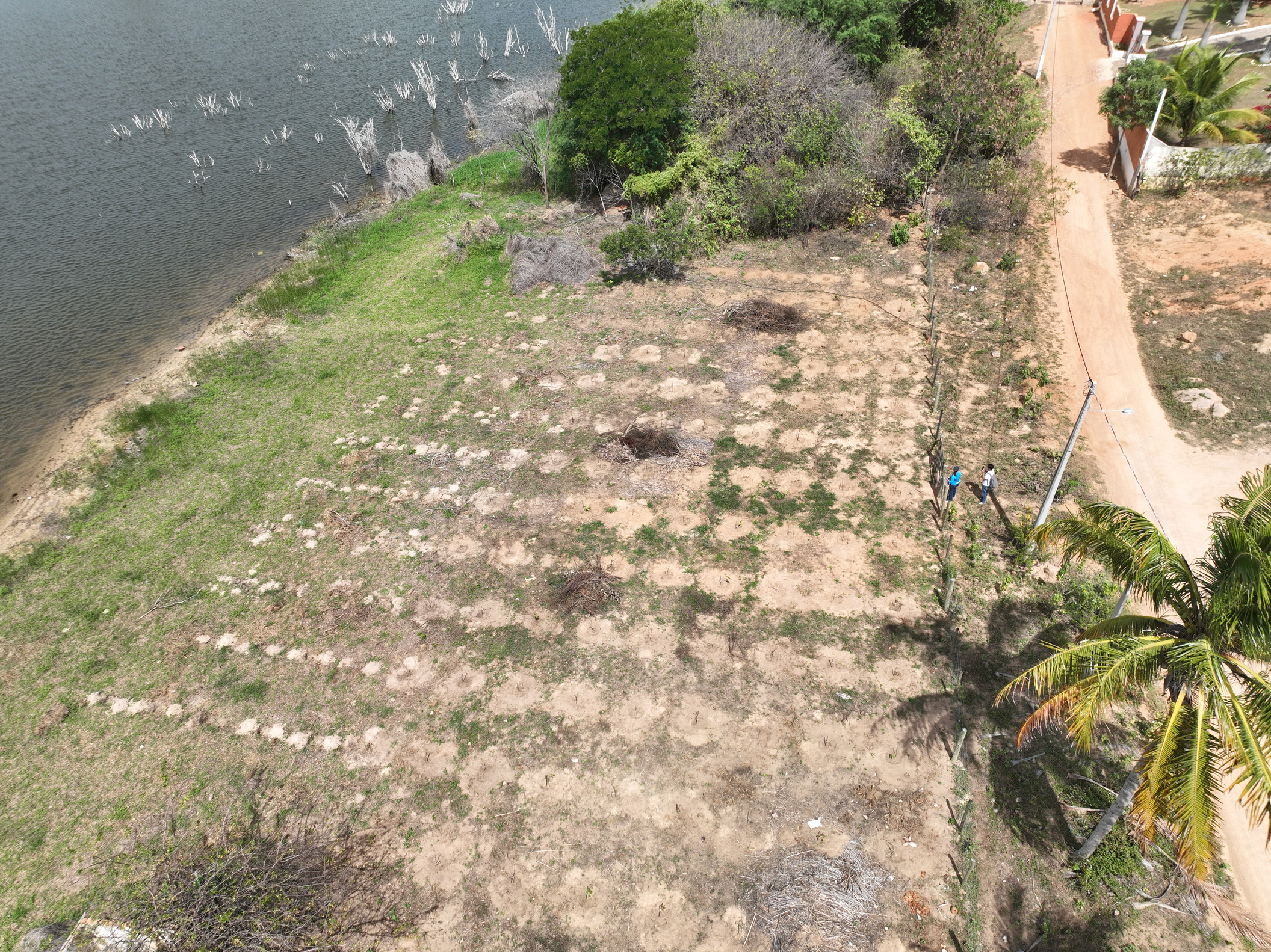 Vista aérea de parcelas de plantio em área trabalhada pelo Projeto Potengi